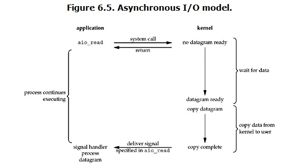 异步IO(Asynchronous IO).png